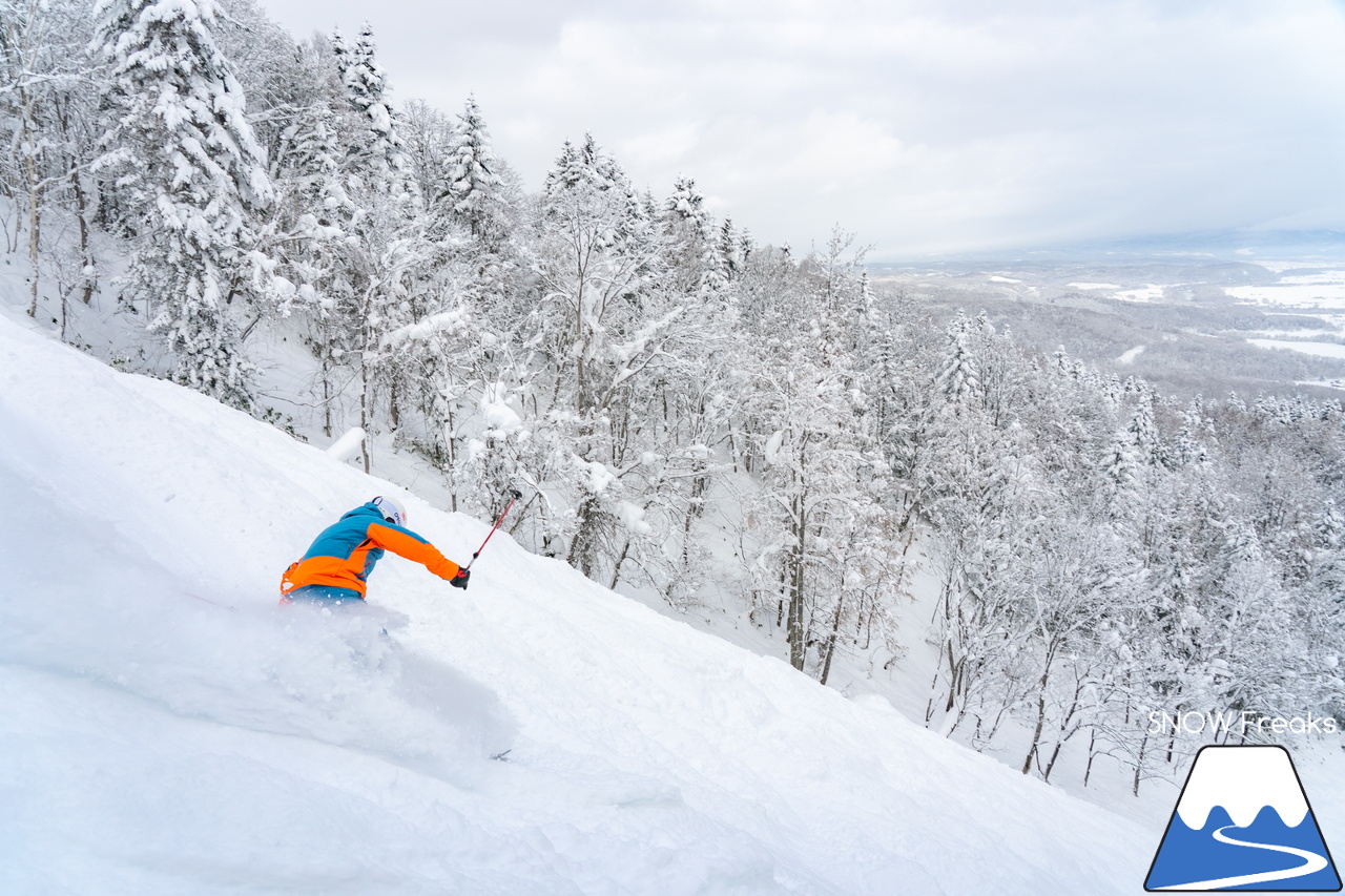 士別市日向スキー場　地元スキーヤーの皆さんと一緒に道北屈指の豪雪パウダーを心ゆくまで、滑る、滑る、滑る！